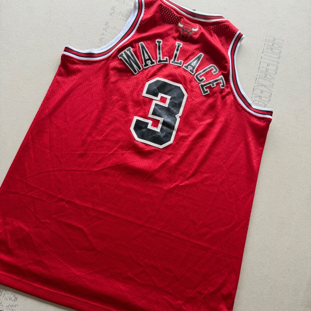 Y2K Adidas Ben Wallace Chicago Bulls Jersey